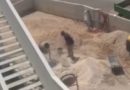 Kad vas kolege radnici pozovu da sa njima popijete pivu, tad ste postali inženjer… Kad vas kolege radnici pozovu da sa njima popijete pivu, tad ste postali inženjer…