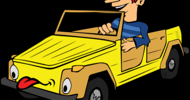 Krule – ostavi auto nek ti leži 10… 20 dana na cesti… Krule – ostavi auto nek ti leži 10… 20 dana na cesti…