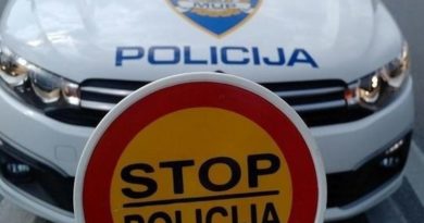 Iz dvorišta vjerskog objekta ukrao ukrasnu kuglu, pa je bacio Iz dvorišta vjerskog objekta ukrao ukrasnu kuglu, pa je bacio