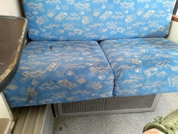 Čistoća