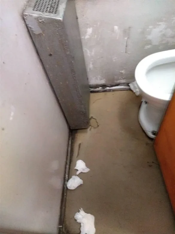 wc